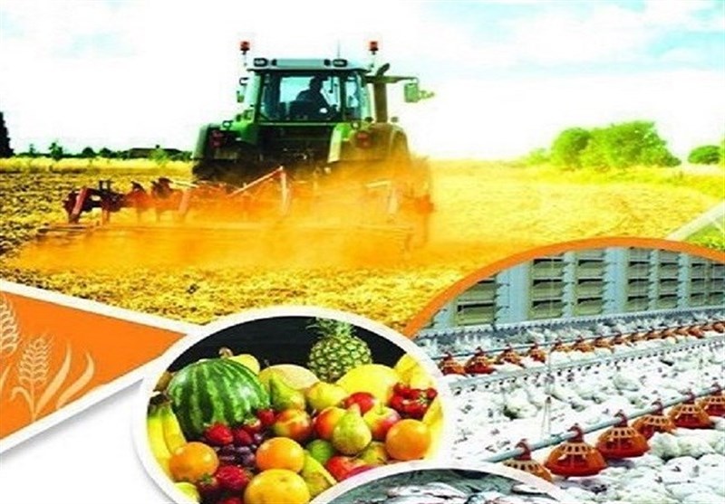 پایانه صادراینی استان فارس
