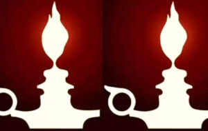 آیا احساسات خود را پنهان می کنید یا خیر؟با اولین چیزی که در تصویر می بینید به پاسخ این سوال دست یابید