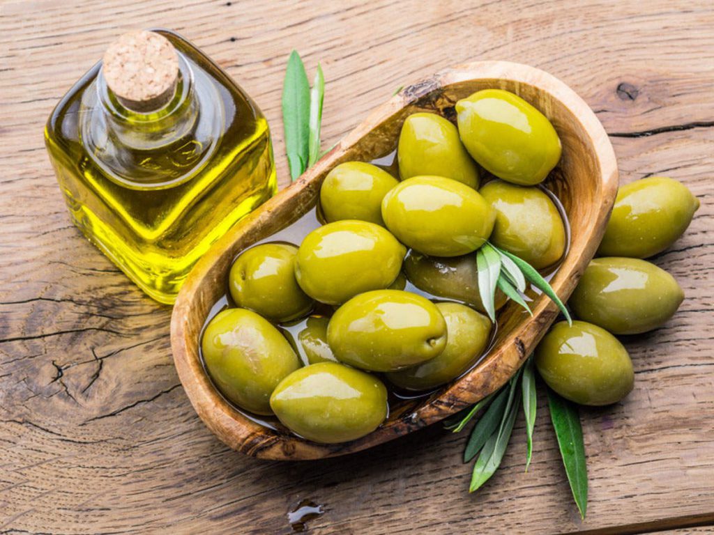 نگهداری زیتون
