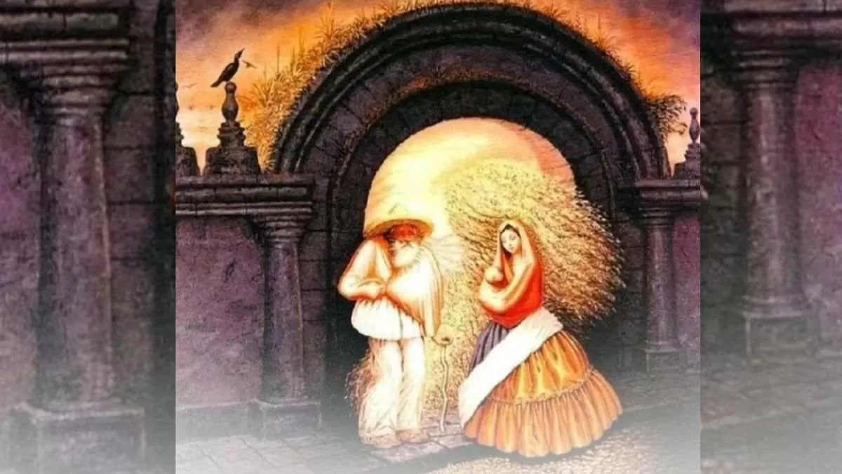 OpticalIllusionSpotFacesinOldManPicture
