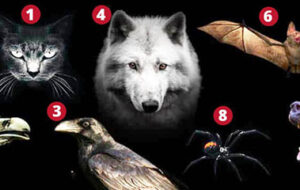 شیطان درونی‌ات را کشف کن : یک حیوان را انتخاب کن تا جنبه تاریک شخصیتت را آشکار کند