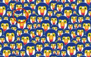 تست بینایی : آیا چشمان عقابی شما می تواند پرنده متفاوت را در ۱۱ ثانیه تشخیص دهد؟