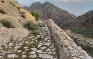 نام این شهر فارس ۱۶ بار در شاهنامه فردوسی آمده است/لهجه مردم پهلوی ساسانی است