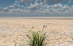 گزارش جدید وضعیت بارندگی در مناطق مختلف که مردم و کشاورزان حتما بخوانند