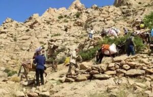 خشکسالی مراتع استان فارس را نابود و عشایر را بدبخت تر کرد/کوچ نشینی با ۱۰۰۰ دردسر