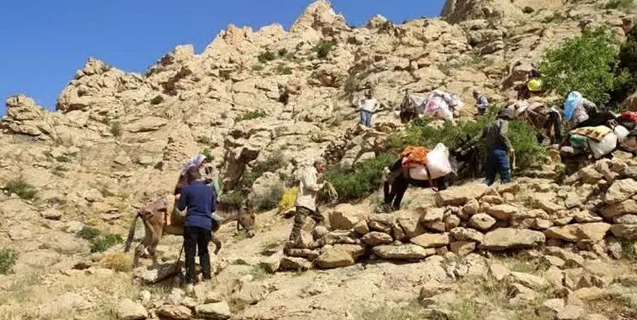 عشایر