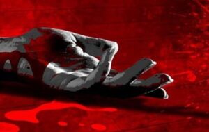 قتل ۲ نفر با توهم زدن کامیبز در میهمانی دختران و پسران جوان