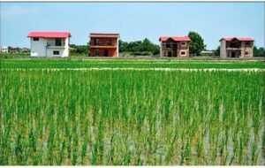 قانونی به نام مردم اما به‌ کام زمین‌خواران که اراضی کشاورزی و منابع طبیعی را هاپولی کنند