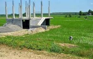 کدام دستگاه های اجرایی بیخیال حفظ کاربری اراضی کشاورزی هستند؟