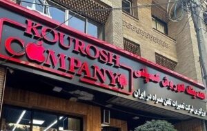 وزارت صمت پاسخگوی‌ خسارت مال باختگان آیفون باشد/جزئیات پرونده ” کوروش کمپانی” از زبان پلیس
