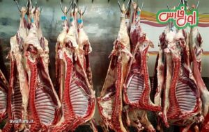مردم قدرت خرید ندارند ، گوشت گرم را کالابرگی کنید