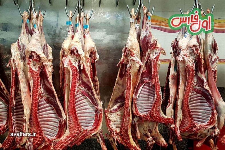 گوشت 1