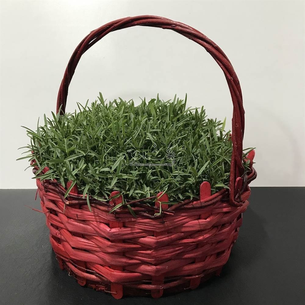 سبزه ماش