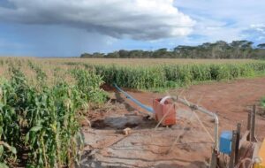 وضعیت آب های زیرزمینی از یک بحران فوق‌العاده خطرناک خبر می‌دهد/ باید چکار کنیم؟