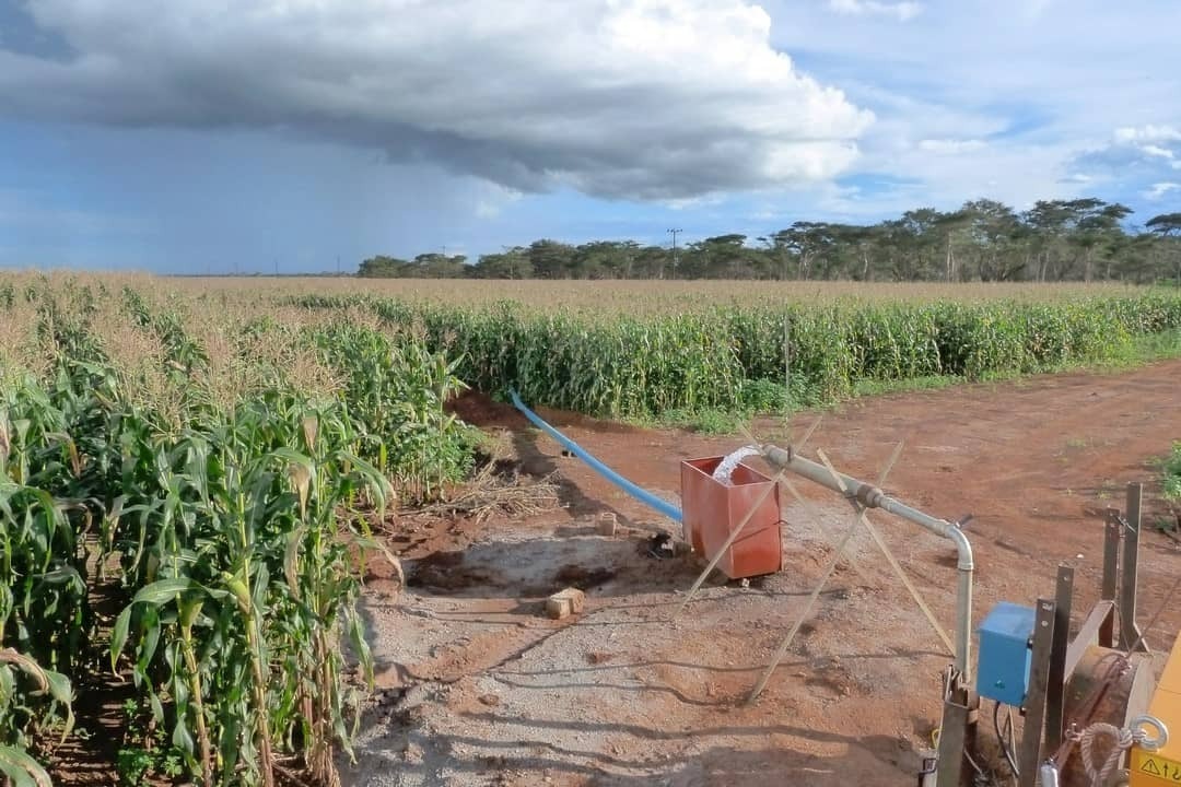 Groundwater status 3