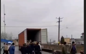 فیلم دلخراش خفگی چوپان همراه با ۱۰۰ راس گوسفند در اصفهان