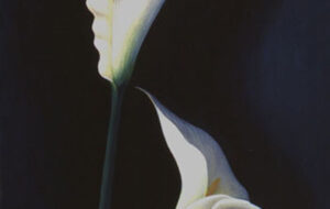 آیا شما فرد حساس و یا بی تفاوتی هستید؟با اعتراف به آنچه که در ابتداء دیدید جواب این سوال را پیدا کنید