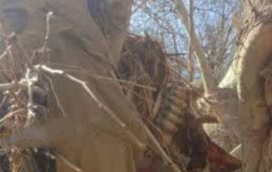 کشف اسکلت مردی ناشناس در رودخانه بلبرم ممسنی با یک قطار فشنگ