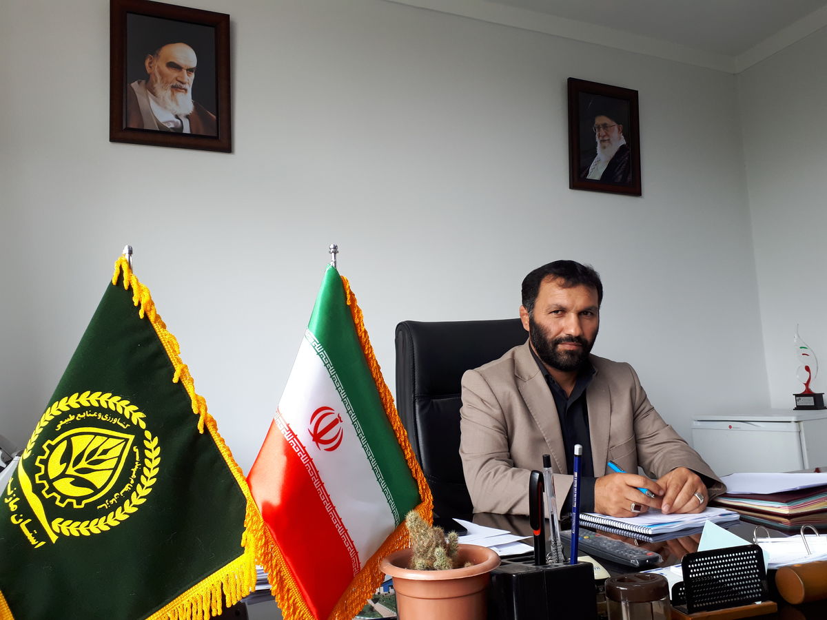 حجت الله علی محمدی