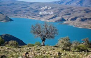 استان فارس از وضعیت بحرانی کم آبی در رفت / سد درود زن در آستانه پر شدن/سامانه بارشی جدیدی در راه است