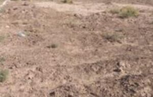 وزیر راه و شهرسازی: ساخت مسکن را به متقاضیان می دهیم خودشان بسازند / ۲۷ شهر ساحلی ایجاد می شود