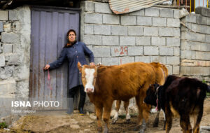 تصاویری از زندگی روستایی در لفور سوادکوه