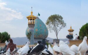 آمار بارش های اخیر در ۲۷۸ منطقه استان فارس +جدول