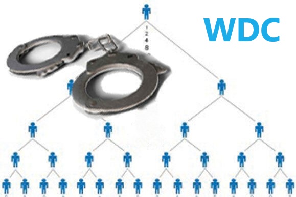 شرکت هرمی WDC