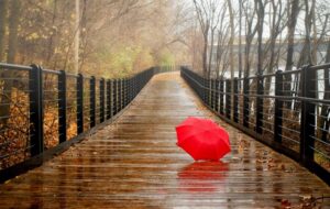 فال حافظ امروز ۱۷ اسفند/ بشکست عهد وز غم ما هیچ غم نداشت