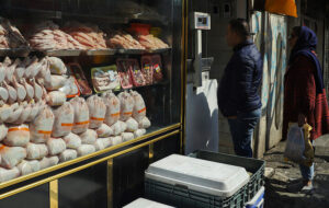 تعیین تکلیف برای «مصرف کنندگان» توسط رئیس اتحادیه فروشندگان پرنده و ماهی!