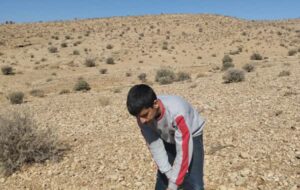 این نوجوان اهل استان فارس یک محیط بان همه فن حریف است