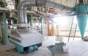 یک کارخانه بوجاری برنج ۲.۶۸ میلیارد تومان نقدی جریمه شد