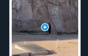 کار زشت یک گردشگر نما در « نقش رستم » که باید خون گریه کرد(+ویدئو)