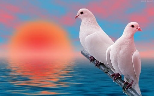 فال حافظ