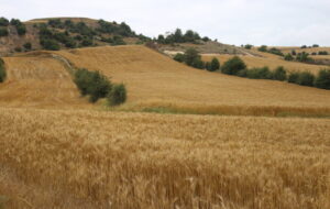 در کدام استان ها کمبود بارندگی ها جدی است؟