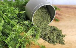 ۴ روش خشک کردن شوید در خانه و شیوه نگهداری آن