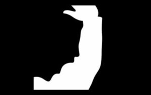 تست شخصیت:آنچه که در تصویر می بینید می گوید که آیا اغلب تصمیمات درست می گیرید یا غلط؟