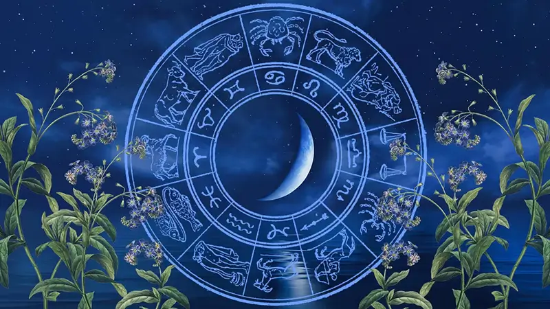 ویژگی متولدین هر ماه