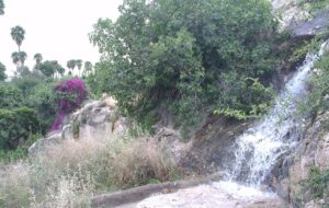 ویدئو | چشمه زیبای و دیدنی کورسا در شهرستان کهگیلویه