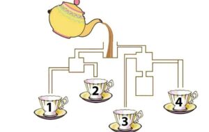 تست هوش: ۲۰ ثانیه وقت دارید حدس بزنید کدام فنجان زودتر پر می شود؟