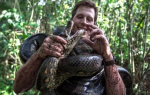 آنا جولیا بزرگترین مار جهان کشته شد(+ویدئو)