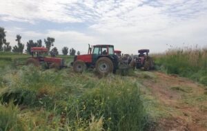 خبر جدید از نابودی برخی مزارع فاضلابی در شرق شیراز / آبیاری با فاضلاب همچنان ادامه دارد؟