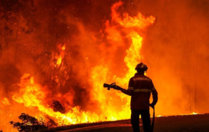 آتش سوزی گسترده‌ انبار کالا در میدان مهارت شیراز شیراز (+فیلم)