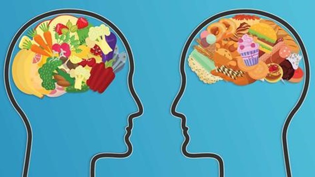 الگوی غذایی مغز