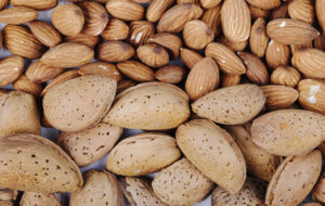 اتوبوسی که بادام بارش بود نرسیده به شیراز توقیف شد !