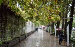 ورود ۲ سامانه بارشی جدید و آغاز بارندگی در مناطقی از استان فارس