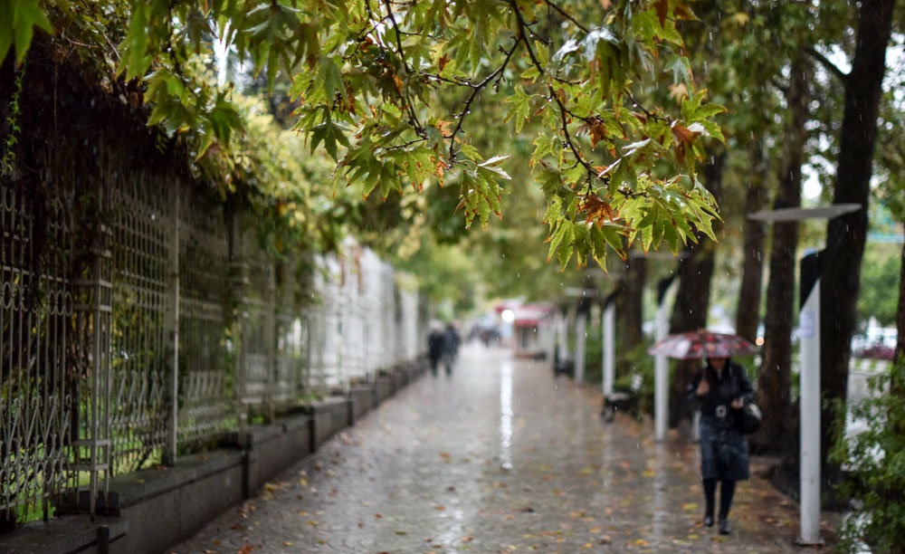 باران فارس