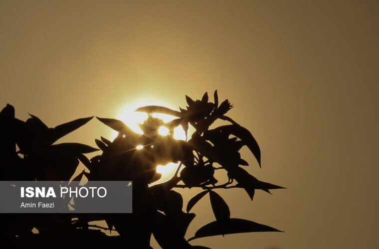 تصاویری تلخ از هجوم به بهار نارنج های شیراز حتی در شاهچراغ