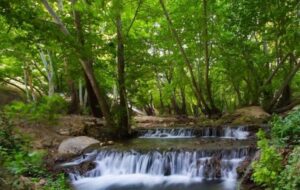 چه کسی پشت واگذاری غیر قانونی بهشت گمشده فارس به میراث فرهنگی است؟