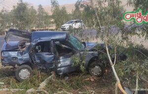 عجب تصادفی تو جاده فسا – سروستان +عکس